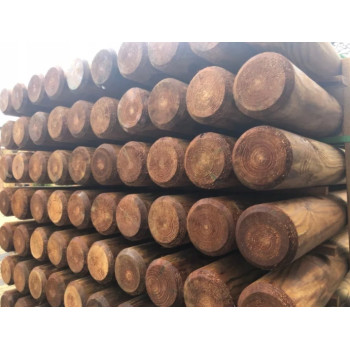 Palisada Toczona, Paliki...